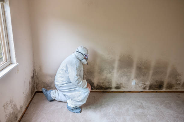 Mold Remediation for Rental Properties in Gruver, TX